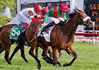 Euro Charline won the 2014 Beverly D. Stakes.