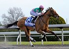 Emollient
<br><a target="blank" href="http://photos.bloodhorse.com/AtTheRaces-1/at-the-races-2013/27257665_QgCqdh#!i=2443841913&k=xwF3gGm">Order This Photo</a>