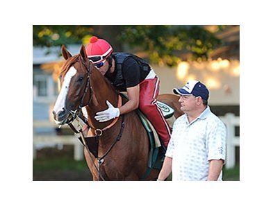California Chrome<br><a target="blank" href="http://photos.bloodhorse.com/TripleCrown/2014-Triple-Crown/Belmont-Stakes-146/i-4bz5HFC">Order This Photo</a>