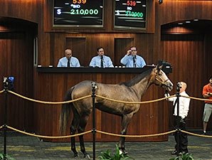 Rockport Harbor Filly Tops OBS June Session Rockport Harbor Filly Tops OBS June Session