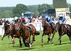 Racing at Royal Ascot