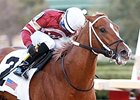 Tapiture will try a one-turn turn mile in the $100,000 Ack Ack Handicap.