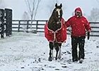 Ramsey Farm 2013: Ken Ramsey and Kitten's Joy Ramsey Farm 2013: Ken Ramsey and Kitten's Joy