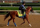 Chitu
<br><a target="blank" href="http://photos.bloodhorse.com/TripleCrown/2014-Triple-Crown/Kentucky-Derby-Workouts/i-zTBQbbJ">Order This Photo</a>