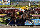 Kauai Katie is making her seasonal debut in the Distaff Handicap.<br><a target="blank" href="http://photos.bloodhorse.com/AtTheRaces-1/at-the-races-2013/27257665_QgCqdh#!i=2337169645&k=ntRZXJG">Order This Photo</a>
