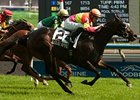 Solid Appeal wins the Nassua Stakes.