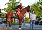 California Chrome
<br><a target="blank" href="http://photos.bloodhorse.com/TripleCrown/2014-Triple-Crown/Belmont-Stakes-146/i-sXsqqQn">Order This Photo</a>