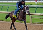 Vicar's in Trouble is one of two Derby entries for the Ramseys.<br><a target="blank" href="http://photos.bloodhorse.com/TripleCrown/2014-Triple-Crown/Kentucky-Derby-Workouts/i-kffjRrs">Order This Photo</a>