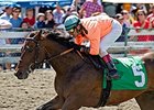 Koffee Grinder won the 2014 Chris Loseth Handicap.