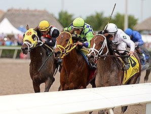 Florida Derby Top Trio Making Kentucky Plans Florida Derby Top Trio Making Kentucky Plans