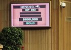 The top seller on the day, a colt by first-crop sire Trappe Shot, brought $600,000.