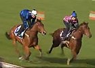 Cox Plate: Rob Heathcote - Trainer of Buffering Cox Plate: Rob Heathcote - Trainer of Buffering