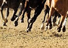 A Timeline for Synthetic Racing Surfaces A Timeline for Synthetic Racing Surfaces