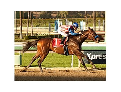 Bayern overwhelmed a $58,000 allowance test at Santa Anita, winning by 15 lengths.