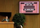 Pope Goes to $1.6M for Oxbow's Half Brother Pope Goes to $1.6M for Oxbow's Half Brother