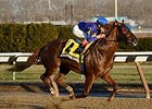 Strapping Groom
<br><a target="blank" href="http://photos.bloodhorse.com/AtTheRaces-1/at-the-races-2013/27257665_QgCqdh#!i=2982353939&k=v4w865S">Order This Photo</a>