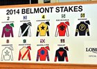 Belmont Stakes Contenders: A Quick Guide Belmont Stakes Contenders: A Quick Guide