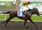 Silver Max won the 2013 Shadwell Turf Mile.
<br><a target="blank" href="http://photos.bloodhorse.com/AtTheRaces-1/At-the-races-2013/i-dcNsmt7">Order This Photo</a>