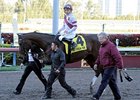 Mott's BC Fillies are Close to His Heart Mott's BC Fillies are Close to His Heart