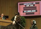 Oxbow's Half Brother Leads Keeneland Gains Oxbow's Half Brother Leads Keeneland Gains