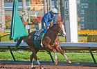 California Chrome