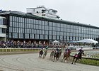 New Board to Represent New England Horsemen New Board to Represent New England Horsemen