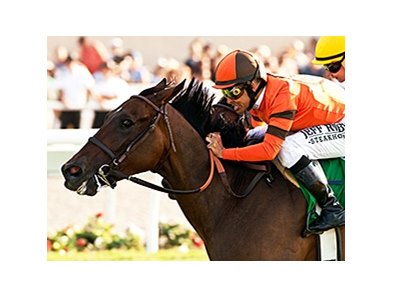 Moulin de Mougin wins the John C Mabee Stakes.