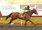 Starlet Winner Streaming Back in Las Virgenes Starlet Winner Streaming Back in Las Virgenes