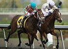 Paladin Bay wins the Selene Stakes.