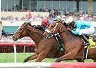 Hey Leroy gets up late to win the Appleton Stakes.<br><a target="blank" href="http://photos.bloodhorse.com/AtTheRaces-1/At-the-Races-2014/35724761_2vdnSX#!i=3149269149&k=mpqqZcR">Order This Photo</a>