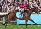 Belardo rolls to victory in the Dubai Dewhurst Stakes.<br><a target="blank" href="http://photos.bloodhorse.com/AtTheRaces-1/At-the-Races-2014/i-6BJfnsV">Order This Photo</a>