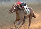 Paulassilverlining wins the Matron Stakes.
<br><a target="blank" href="http://photos.bloodhorse.com/AtTheRaces-1/At-the-Races-2014/i-Jgbfwhs">Order This Photo</a>