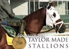KY Derby News Minute: Wednesday, 4/28/10 KY Derby News Minute: Wednesday, 4/28/10