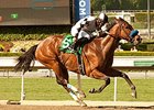 Let Faith Arise won the 2014 Santa Margarita.