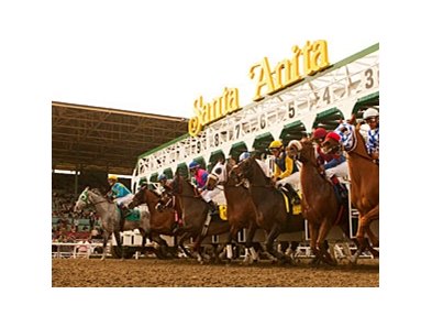 Santa Anita Dirt Track