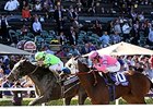 Ria Antonia (left) and She's a Tiger finished together in the Breeders' Cup Juvenile Fillies.