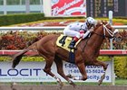 Radiohead pulls away at Gulfstream.<br><a target="blank" href="http://www.bloodhorse.com/horse-racing/photo-store?ref=http%3A%2F%2Fpictopia.com%2Fperl%2Fgal%3Fprovider_id%3D368%26ptp_photo_id%3D8813154%26ref%3Dstory">Order This Photo</a>