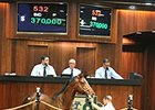 Hip No. 532, a full brother to Stardom Bound, brought $370,000.
