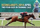 Horses to Watch at Keeneland April 2YO Sale Horses to Watch at Keeneland April 2YO Sale