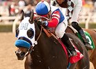 Halo Dolly won the 2014 Dream of Summer Stakes.