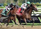 Palace leaves Happy My Way behind to take the Alfred G. Vanderbilt.<br><a target="blank" href="http://photos.bloodhorse.com/AtTheRaces-1/At-the-Races-2014/i-wpPnH78">Order This Photo</a>