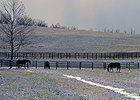 Arctic Blast Leads Tracks to Cancel Racing Arctic Blast Leads Tracks to Cancel Racing