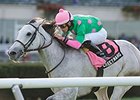 Discreet Marq has a career record of 6-5-3 in 18 starts and earnings of $947,900.<br><a target="blank" href="http://photos.bloodhorse.com/AtTheRaces-1/at-the-races-2013/27257665_QgCqdh#!i=2833607562&k=qgb4ZL7">Order This Photo</a>