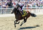 Kid Cruz comes home strong to win the Easy Goer Stakes.<br><a target="blank" href="http://photos.bloodhorse.com/AtTheRaces-1/At-the-Races-2014/i-tMWvFfT">Order This Photo</a>