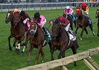 Trade Storm wins the Woodbine Mile.