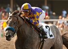 Kobe's Back won the 2013 Willard L. Proctor Memorial Stakes.