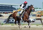 Wicked Strong<br><a target="blank" href="http://photos.bloodhorse.com/TripleCrown/2014-Triple-Crown/Belmont-Stakes-146/i-bwZCbRJ">Order This Photo</a>
