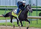 Intense Holiday at Churchill Downs April 30.
<br><a target="blank" href="http://photos.bloodhorse.com/TripleCrown/2014-Triple-Crown/Kentucky-Derby-Workouts/i-Q5hnnTt">Order This Photo</a>
