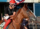 California Chrome
<br><a target="blank" href="http://photos.bloodhorse.com/TripleCrown/2014-Triple-Crown/Belmont-Stakes-146/i-hJdHG7Z">Order This Photo</a>
