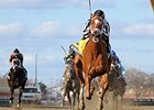 My Miss Sophia runs away from the competition in the Gazelle Stakes.<br><a target="blank" href="http://photos.bloodhorse.com/AtTheRaces-1/At-the-Races-2014/35724761_2vdnSX#!i=3162559050&k=Mwx88c4">Order This Photo</a>